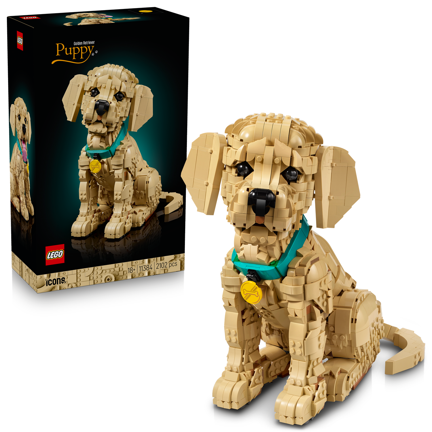 LEGO® 11384 Szczeniak golden retriever - obrazek 2